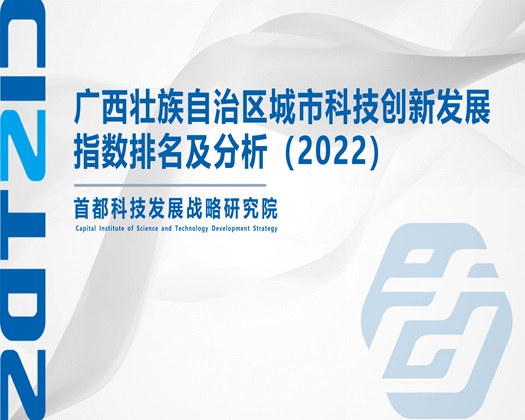 艹逼插入网站【成果发布】广西壮族自治区城市科技创新发展指数排名及分析（2022）